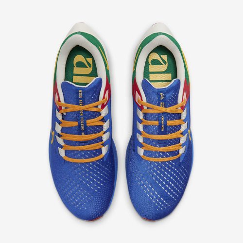 کفش پیاده روی نایک مدل NIKE AIR ZOOM PEGASUS 38 DO7763-400 