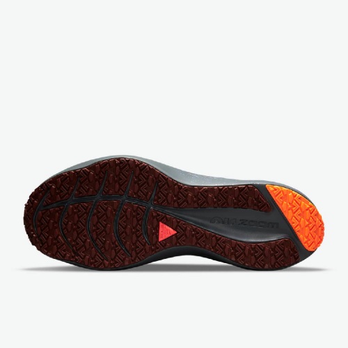 کفش پیاده روی نایک مدل NIKE WINFLO 8 SHIELD DC3727-200