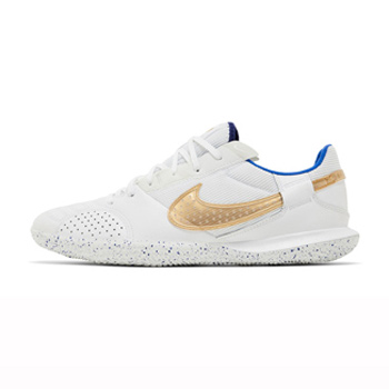 کفش فوتسال نایک استریت گتو Nike Streetgato DC8466-174